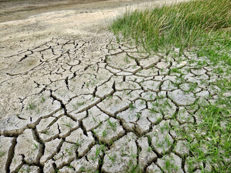 Kancelaria Gessel razem z fundacją ClientEarth doradza przy pozwach klimatycznych przeciwko rządowi